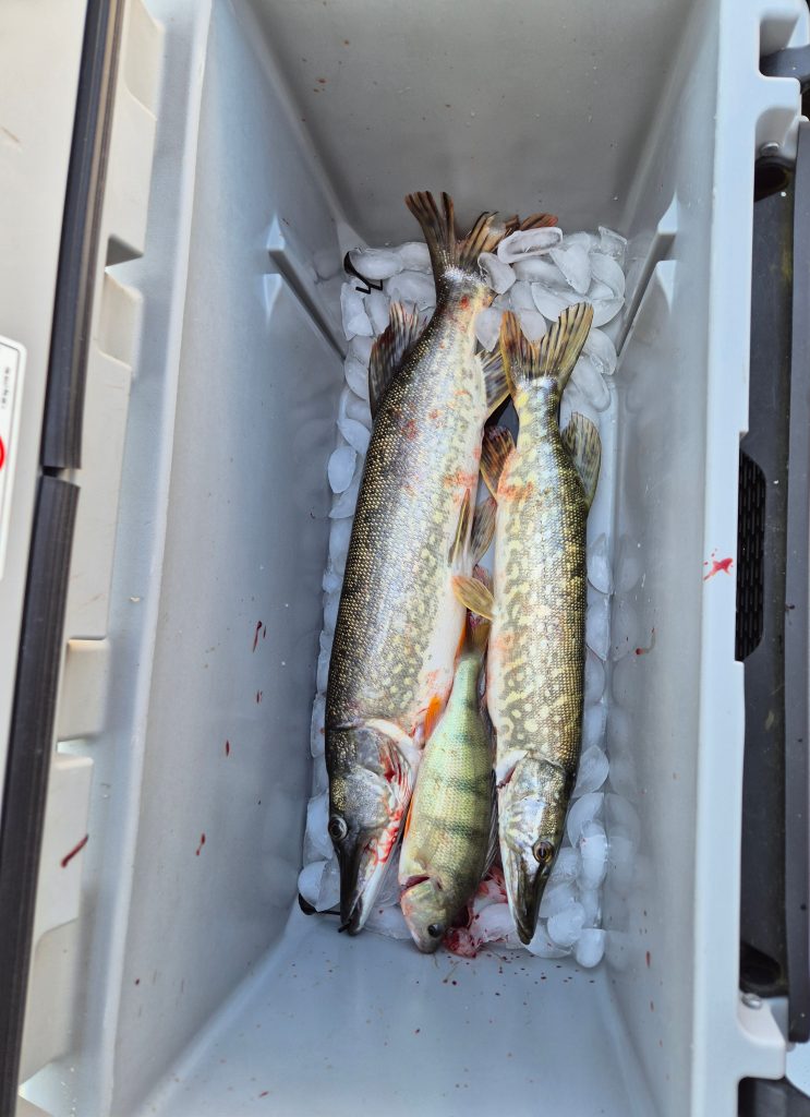 Sweet Hope – Trip 3 July 2025